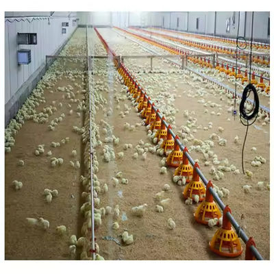 Bolt Connection Steel Structure Poultry House Weather Resistant ISO 9001 CE