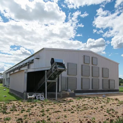 Customized Color Steel Structure Shed Construction Graphic Design For Poultry Farming