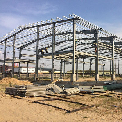 Customized Color Steel Structure Shed Construction Graphic Design For Poultry Farming