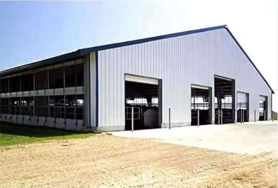 Fixed Windows Steel Structure Cow Shed House Agricultural Farm Building Anti Fire