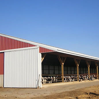 Fixed Windows Steel Structure Cow Shed House Agricultural Farm Building Anti Fire