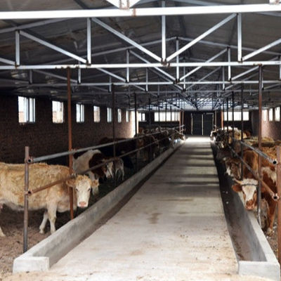 Fixed Windows Steel Structure Cow Shed House Agricultural Farm Building Anti Fire