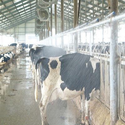 ISO 9001 Prefab Steel Structure Warehouse , Metal Dairy Barn Building Custom Design
