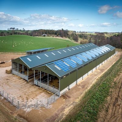 Customized Industrial Steel Sheds Modern Style Easy Install Shed For Dairy Farm