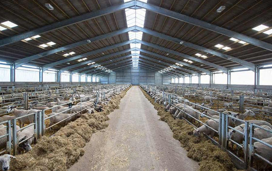 Customized Industrial Steel Sheds Modern Style Easy Install Shed For Dairy Farm