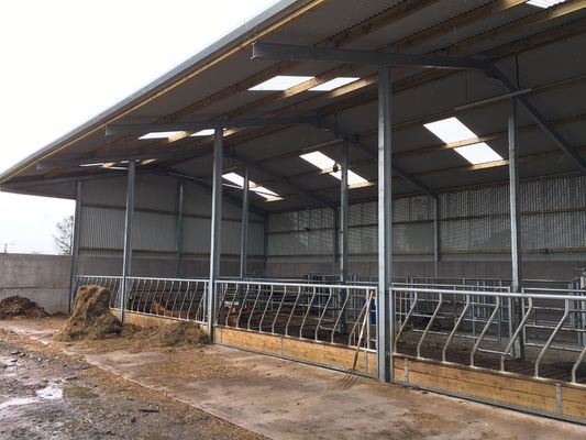 Customized Industrial Steel Sheds Modern Style Easy Install Shed For Dairy Farm