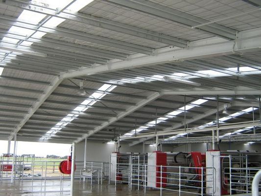 Customized Industrial Steel Sheds Modern Style Easy Install Shed For Dairy Farm