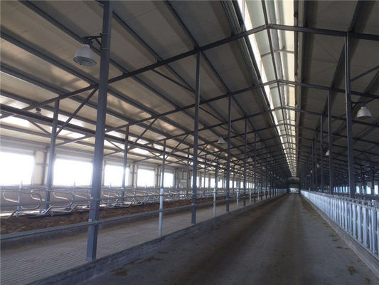 Customized Industrial Steel Sheds Modern Style Easy Install Shed For Dairy Farm