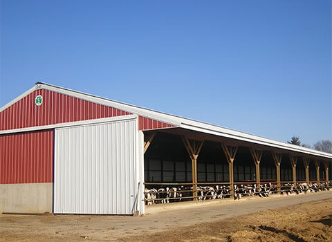 Rigid Frame Design Prefab Steel Livestock Barns Steel Shed Construction Overall Structure
