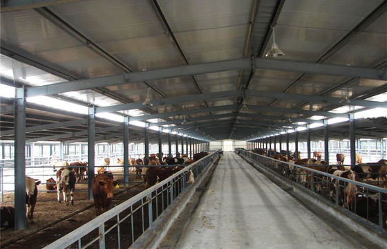 Rigid Frame Design Prefab Steel Livestock Barns Steel Shed Construction Overall Structure