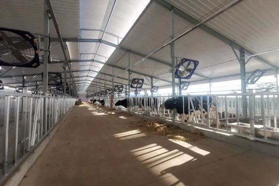 Rigid Frame Design Prefab Steel Livestock Barns Steel Shed Construction Overall Structure