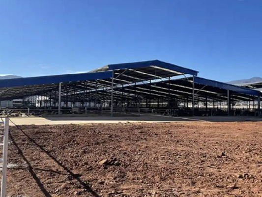 Ventilation Steel Structure Cow Shed , Durable Steel Livestock Shelter For Dairy Farm