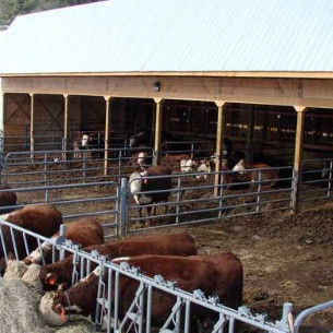 Prefab Metal Horse Barn Fire Resistant Long Lasting Steel Livestock Shed With Gable Roof