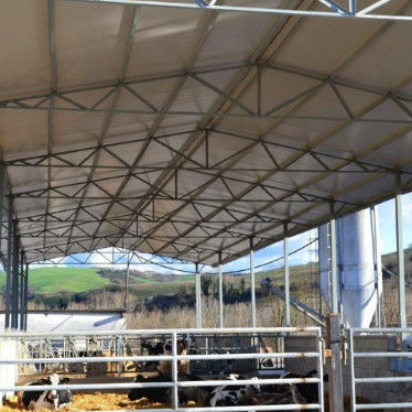 Prefab Metal Horse Barn Fire Resistant Long Lasting Steel Livestock Shed With Gable Roof