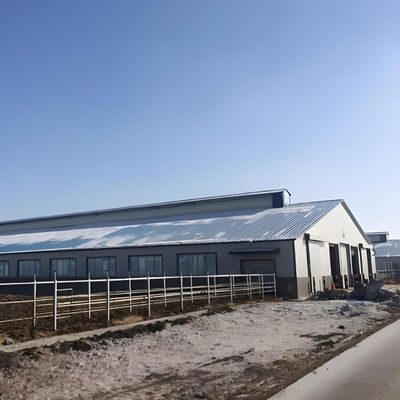Weld Steel Structure Cow Shed Construction Temporary Livestock Shelter Fast Installation