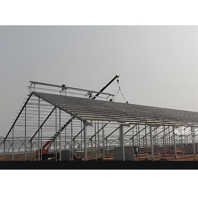 Weld Steel Structure Cow Shed Construction Temporary Livestock Shelter Fast Installation