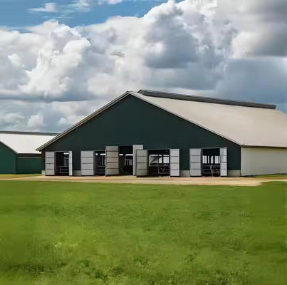 Q235 Q345 Grade Steel Structure Cow Shed Temporary Metal Horse Sheds Custom Dimension