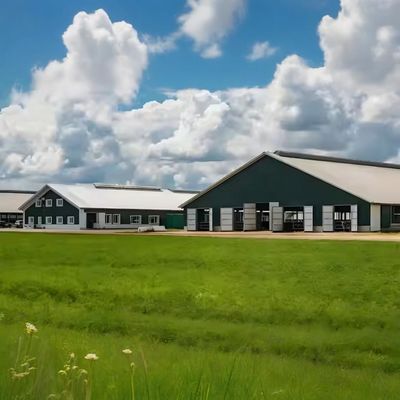 Q235 Q345 Grade Steel Structure Cow Shed Temporary Metal Horse Sheds Custom Dimension