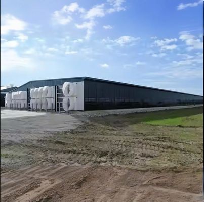 Q235 Q345 Grade Steel Structure Cow Shed Temporary Metal Horse Sheds Custom Dimension